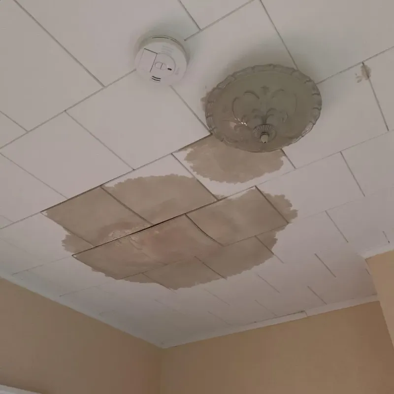 Ceiling Water Damage Repair in Centerville, IA