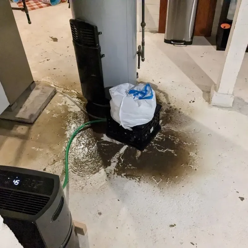 Sewage Backup Cleanup Service in Centerville, IA
